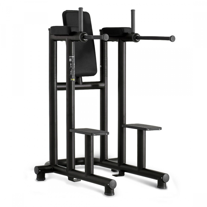 Стойка брусья/пресс TECHNOGYM Leg Raise Dip