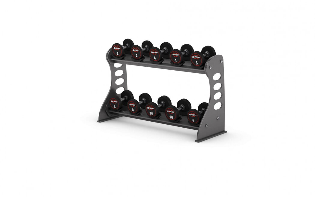 Стойка для гантелей с резиновыми держателями GYM80 Sygnum Basic Dumbell Rack with 10 rubber holders 4056