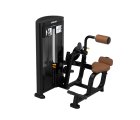 Разгибание спины PRECOR Resolute RSL0313