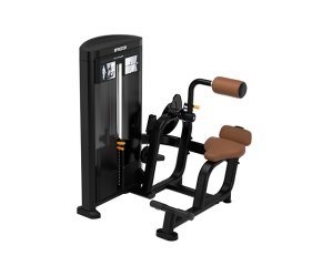 Разгибание спины PRECOR Resolute RSL0313