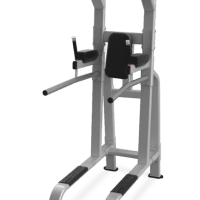 Стойка NAUTILUS PULL-UP/DIP/LEG RAISE