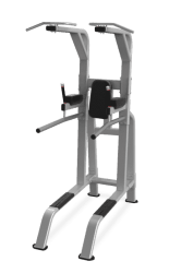 Стойка NAUTILUS PULL-UP/DIP/LEG RAISE