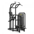 Стойка для подтягиваний TECHNOGYM Kneeling Easy Chin Dip