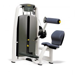 Разгибание спины TECHNOGYM Selection Lower Back Med