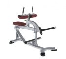 Икроножные, подъем коленей сидя TRUE FITNESS (PARAMOUNT) XFW5700-19