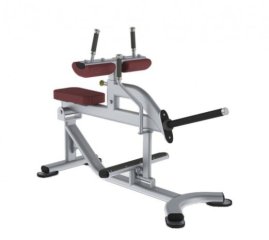 Икроножные, подъем коленей сидя TRUE FITNESS (PARAMOUNT) XFW5700-19