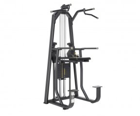 DHZ E1009B турник/брусья с противовесом