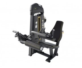 DHZ E1023B сгибание ног сидя