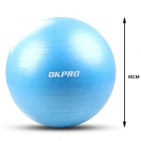Гимнастический мяч OKPRO, 65 см OK1204