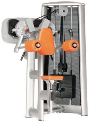 Дельтовидная машина GYM80 Sygnum Standarts Deltoid Raise Machine 3015