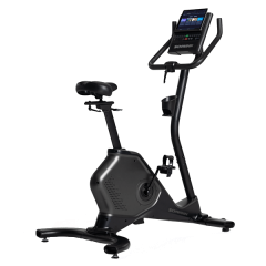 Вертикальный велотренажер SCHWINN 590U