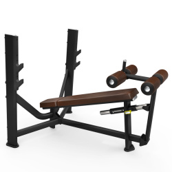 Олимпийская скамья с отрицательным наклоном INTENZA SBR-15 создана для улучшения физической формы, увеличения мышечной массы и силы верхней части тела.