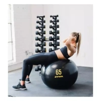 Гимнастический мяч ZIVA, 65 см