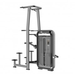 DHZ E7009 турник/брусья с противовесом