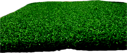 Трава для кроссфита