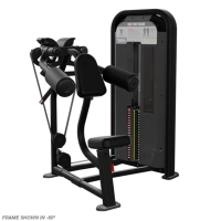 Тренажер дельта машина Nautilus INSPIRATION® DELTOID RAISE