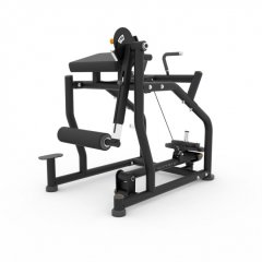 Обратная гиперэкстензия с дополнительной нагрузкой MATRIX Magnum MG-405