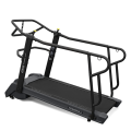 Беговая дорожка BRONZE GYM Powermill