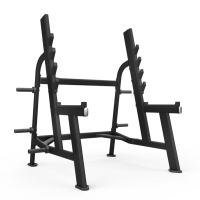 Олимпийская стойка для приседаний INTENZA SBR-11 — это профессиональный тренажер, который предназначен для выполнения приседаний со штангой, а также других вариаций упражнений.