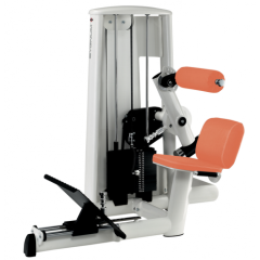 Тренажер для разгибания спины GYM80 Sygnum Standards 3038