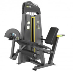 DHZ E3002 разгибание ног сидя