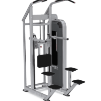 Тренажер гравитрон NAUTILUS CHIN DIP ASSIST (подтягивания и отжимания)