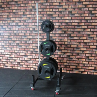 Стойка для дисков и грифов мобильная Okpro OK0036C