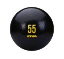 Фитбол ZIVA ZVO-ABCB-9291 55 см