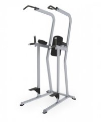 Поднятие коленей/брусья/турник TRUE FITNESS (PARAMOUNT) FS23