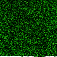 Трава для кроссфита