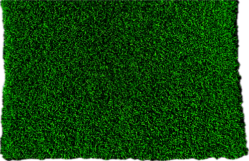 Трава для кроссфита