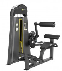 DHZ E3031 разгибание спины