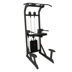 Гравитрон BRONZE GYM BG-AL-701