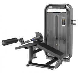 DHZ E7001 сгибание ног лежа