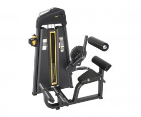 DHZ E1031B разгибание спины