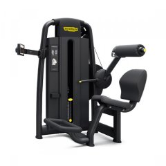 Разгибание спины TECHNOGYM Selection 900 Lower Back
