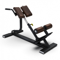 INTENZA SBR-04 – специализированный тренажер для эффективной тренировки спины, позволяя пользователю максимально развить и укрепить мышцы этой области, а также улучшить осанку.