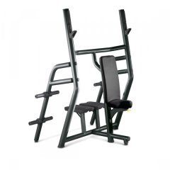 Скамья TECHNOGYM Vertical Bench