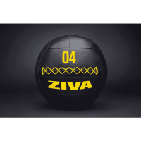 Волболл ZIVA, 2-8 кг