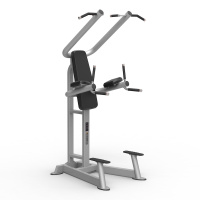 Стойка турник / брусья / пресс Multipower Power Trainer T PTT0219F