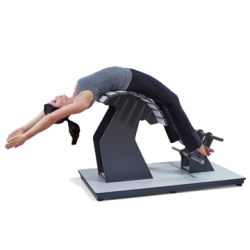 Тренажер для растяжки Fle-xx Mushroom CDF (широчайшие мышцы спины) Тренажер для растяжки Fle-xx Mushroom CDF (широчайшие мышцы спины)