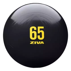 Гимнастический мяч ZIVA, 55-65 см Гимнастический мяч ZIVA, 55-65 см