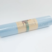 Коврик для йоги и аэробики Okpro 173*61*0.3 см OK1102-173