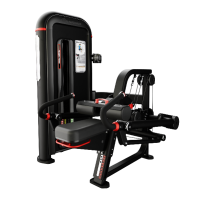 Тренажер трицепс сидя Nautilus INSPIRATION® TRICEP DIP