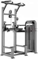 DHZ E-5009 турник/брусья с противовесом