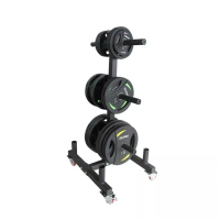 Стойка для дисков и грифов мобильная Okpro OK0036C