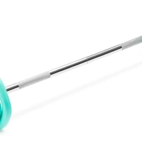 Штанга с уретановыми дисками ZIVA STUDIO SET