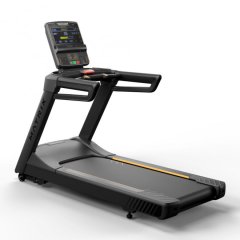 Беговая дорожка MATRIX Endurance Premium LED T-ES-02-F/PLED-C