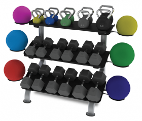 Стойка для гантелей TRUE FITNESS (PARAMOUNT) FS24