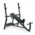 Скамья TECHNOGYM Inclined Bench
